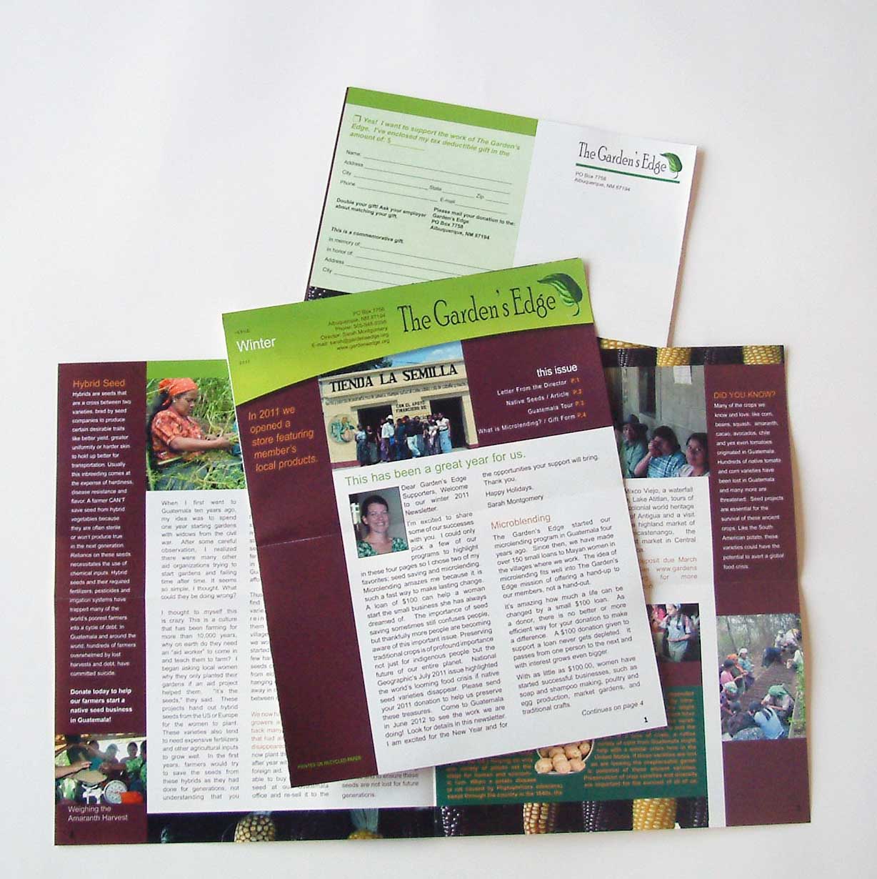 four color newsletter